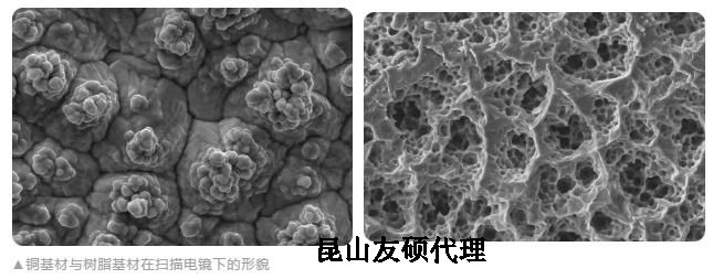 通州蔡司通州扫描电镜