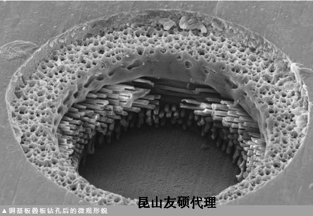 通州蔡司通州扫描电镜